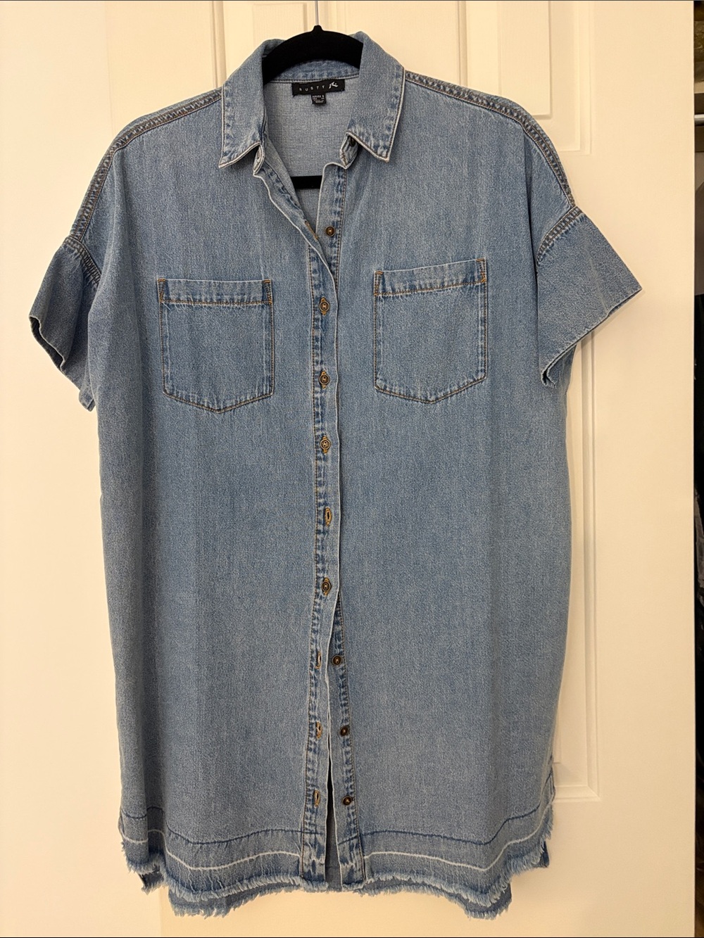 Rusty Light Blue Denim Button-Down Shirt Dress